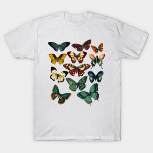 Vintage Butterflies T-Shirt